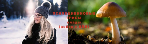 стаф Верхний Тагил