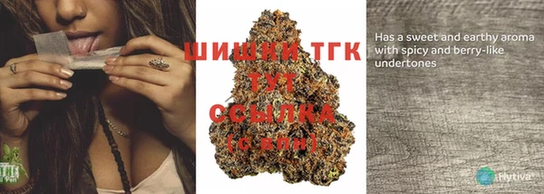 спайс Верея