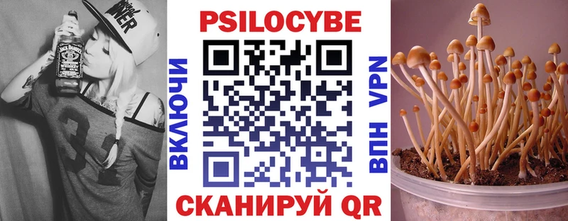 Галлюциногенные грибы Psilocybe  Купить где  Югорск 